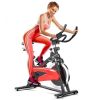 Home 35 Lbs Flywheel Magnetic Exercise Fitness Cycling Bike